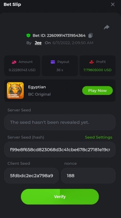 mybigwin.jpg